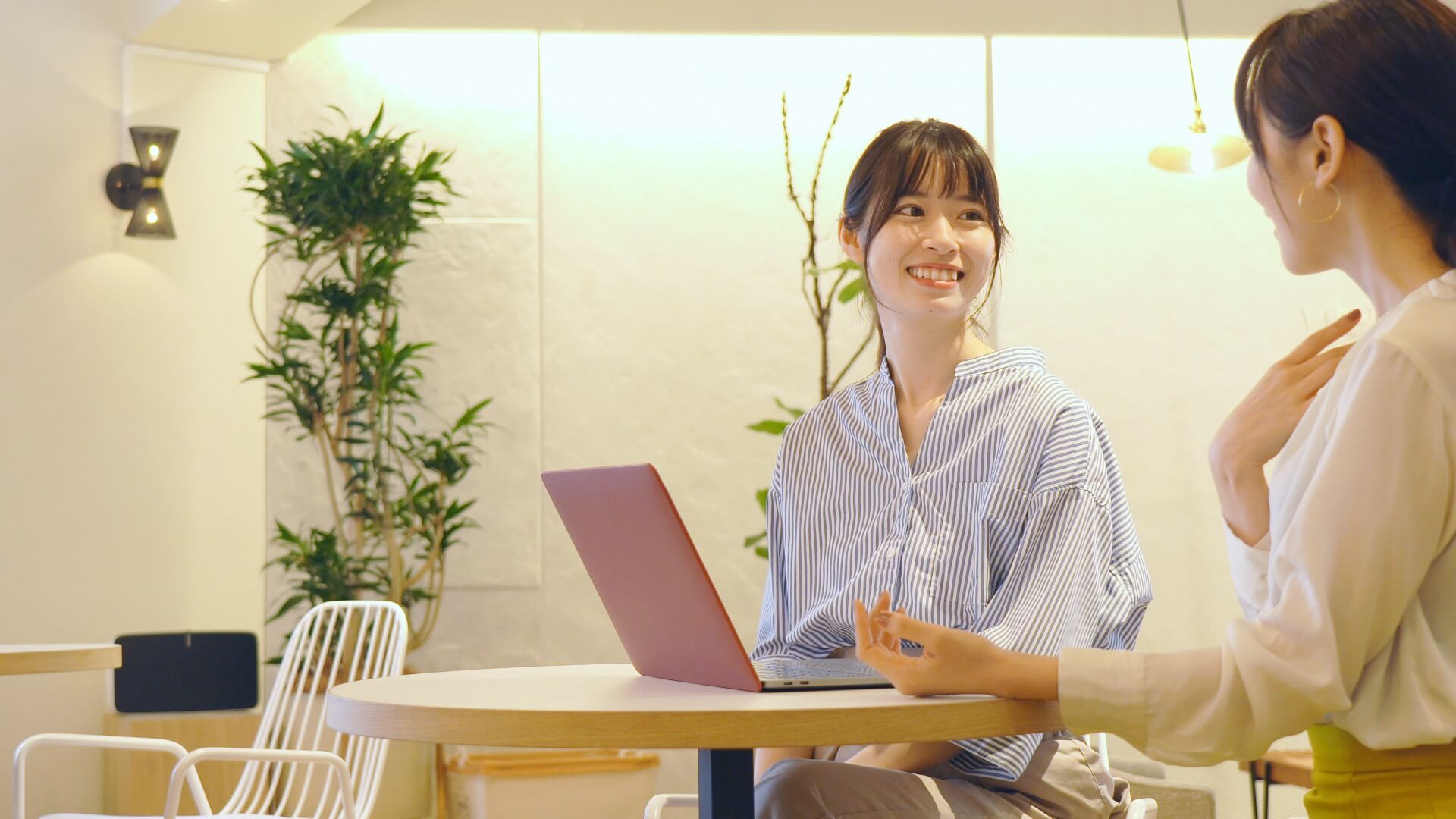 明るいカフェで、ノートパソコンを開いて相談する2人の女性