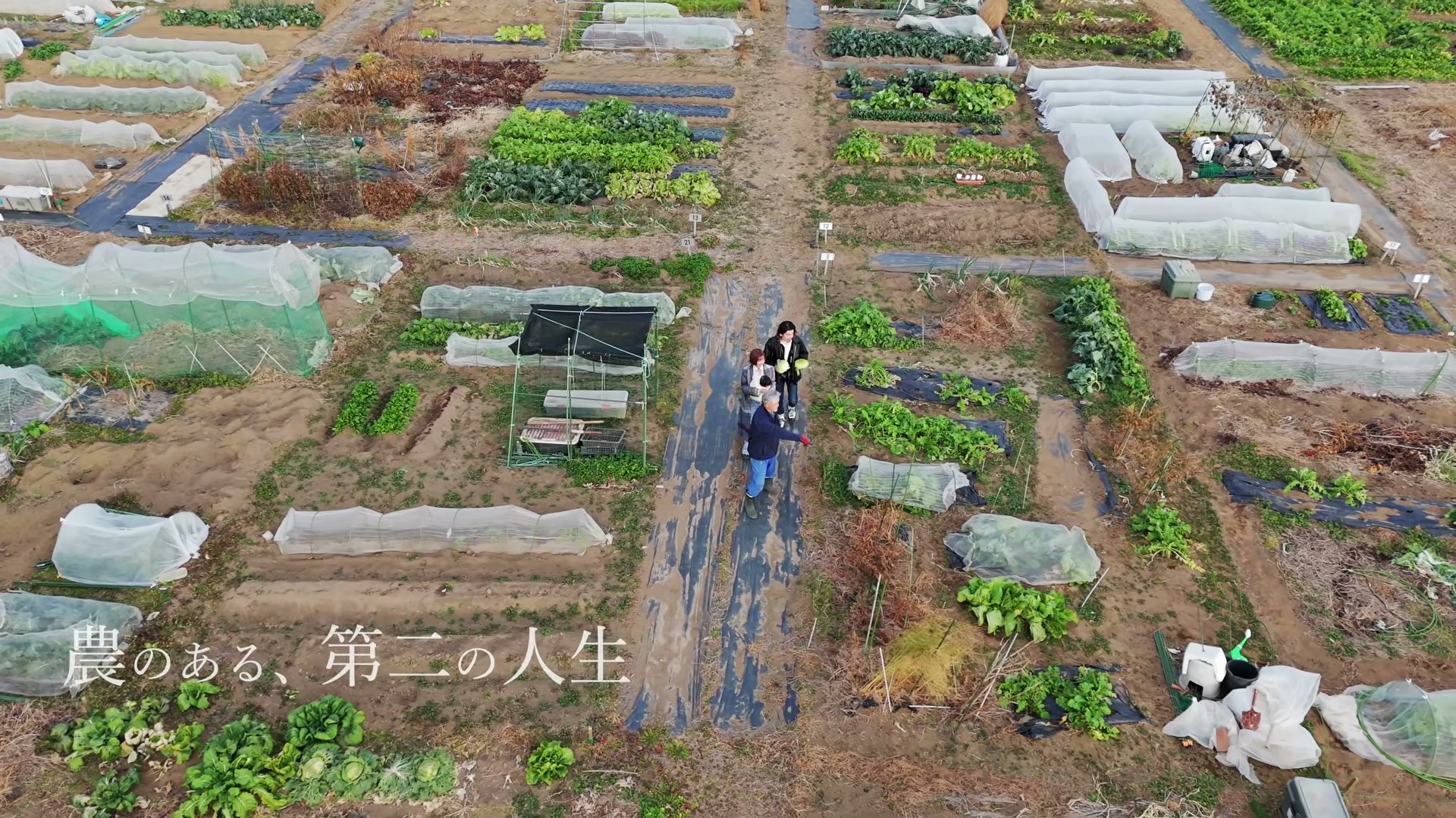市民農園の区画をドローンで上から撮影した場面。「農のある、第二の人生」のテロップ