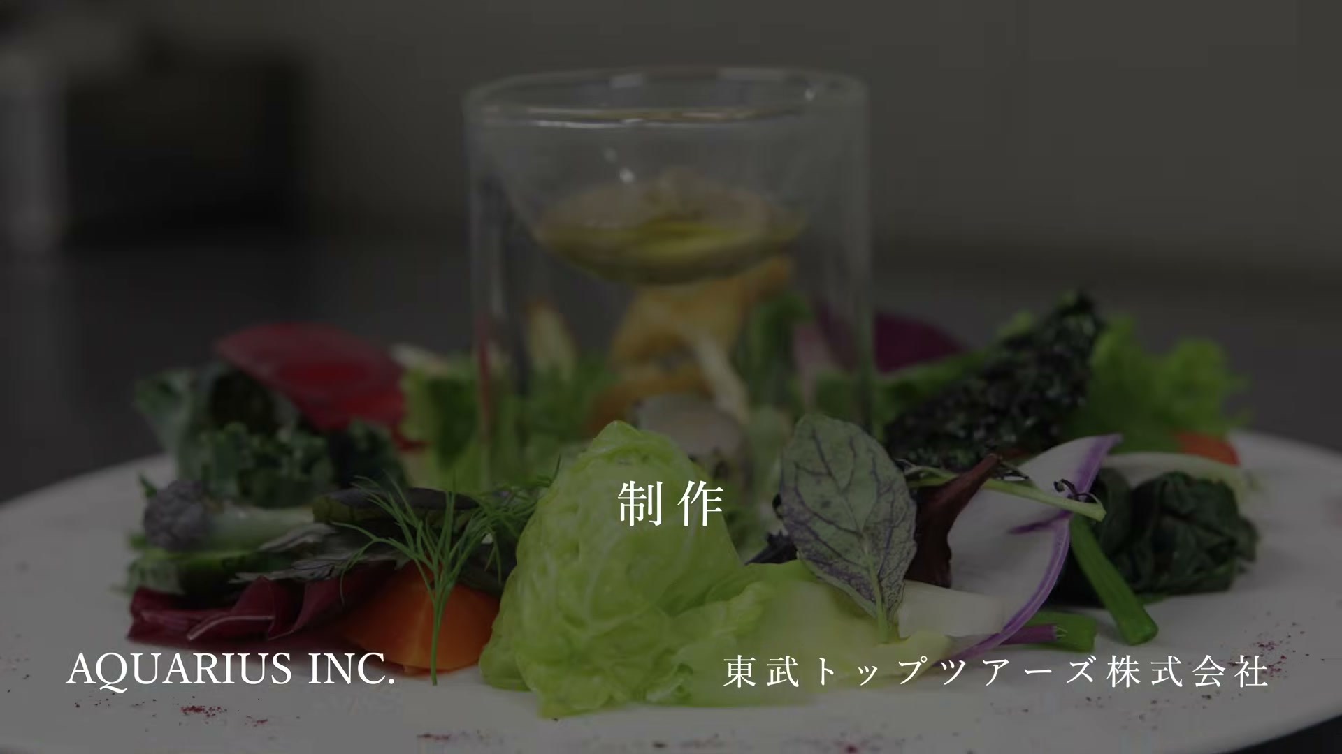 動画の最後のクレジット。制作 AQUARIUS INC.と東武トップツアーズ株式会社