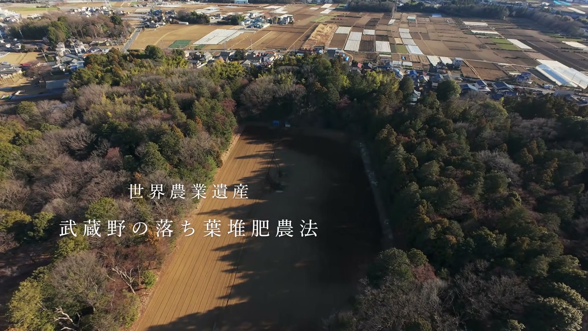 雑木林と畑の空撮に「世界農業遺産 武蔵野の落ち葉堆肥農法」のテロップ