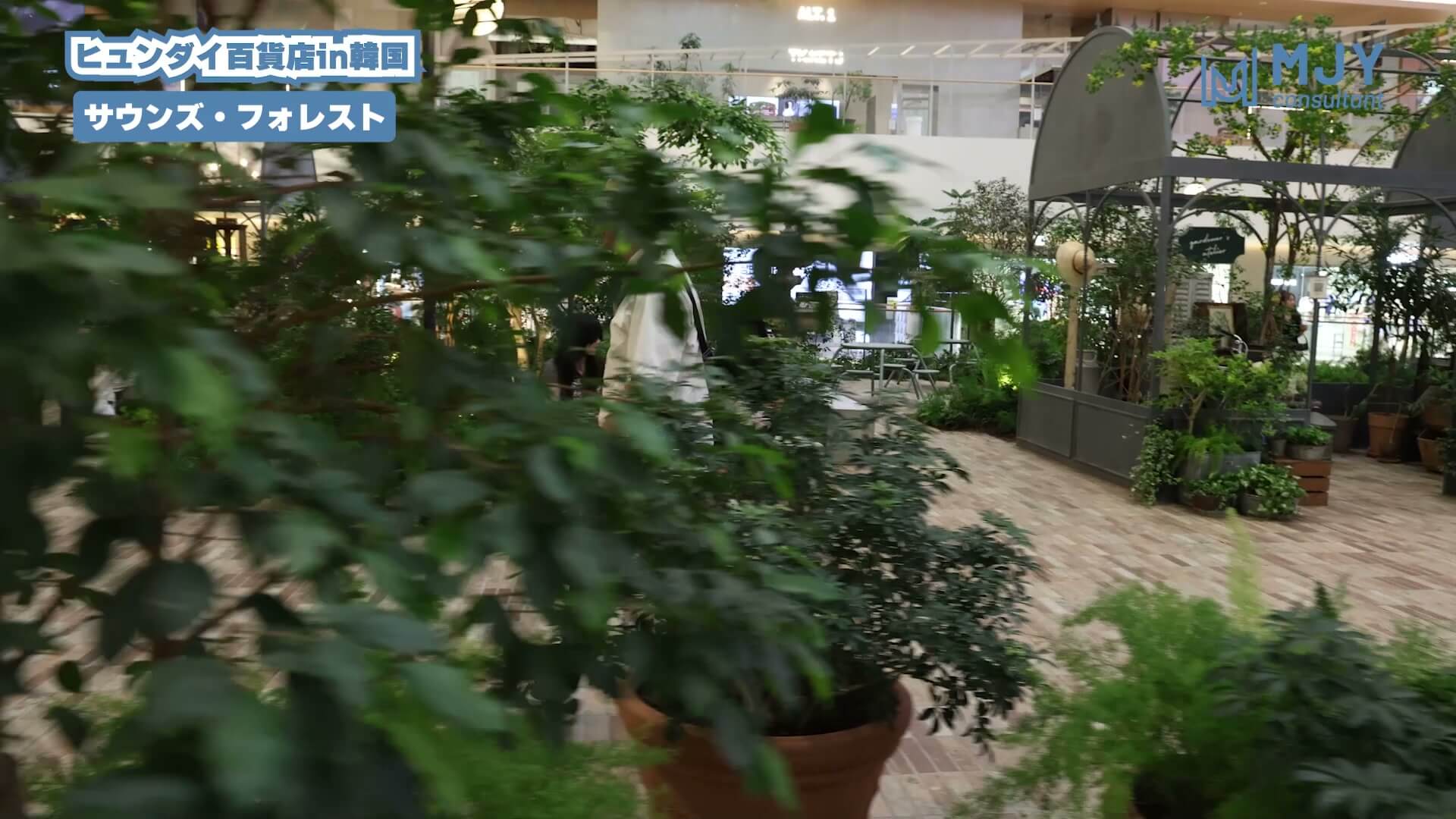 植物に囲まれたザ・ヒュンダイ・ソウルの館内