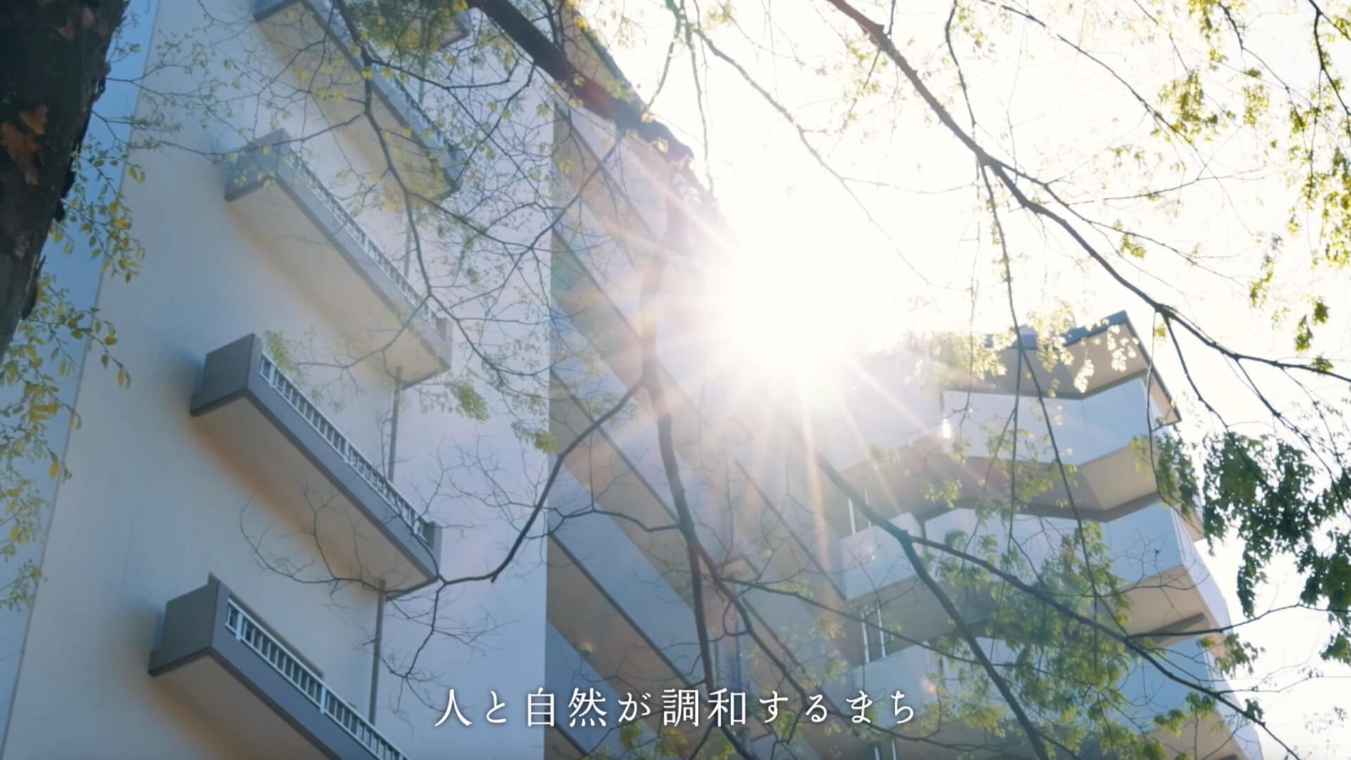 木漏れ日が差す団地の住棟に「人と自然が調和するまち」のテロップが入った、ロング版のオープニング